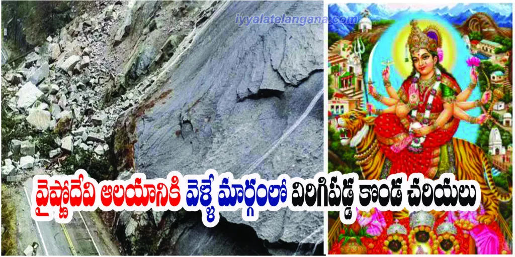 Vshno1 copy Vshno1 Copy