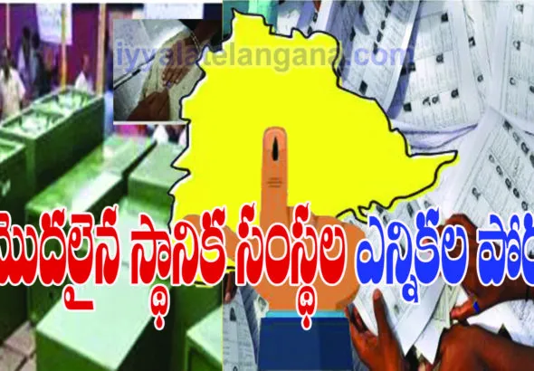 elections locla body