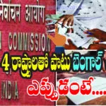 election notification