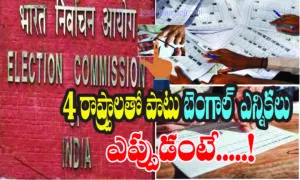 election notification