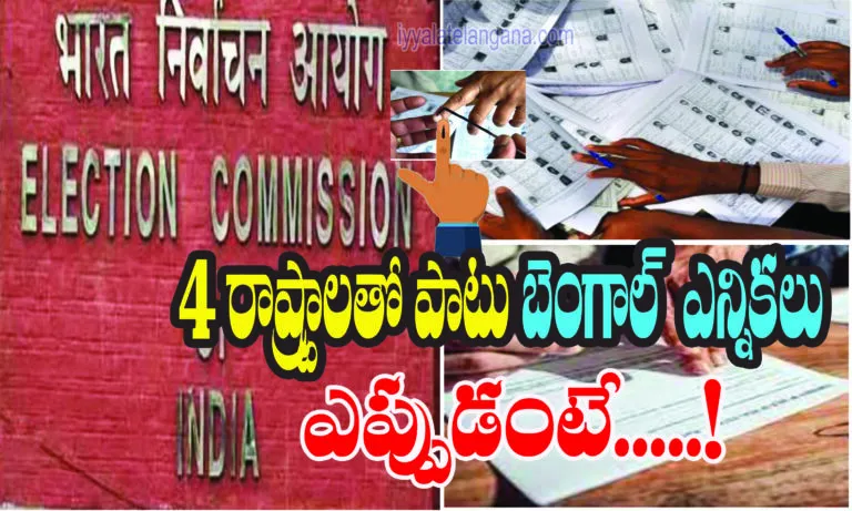 election notification