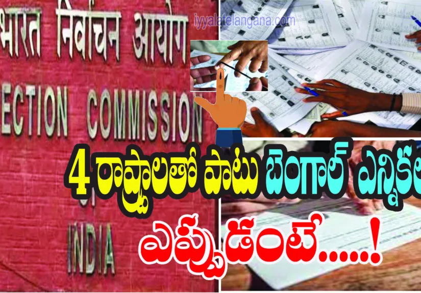 election notification