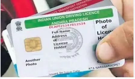 licence
