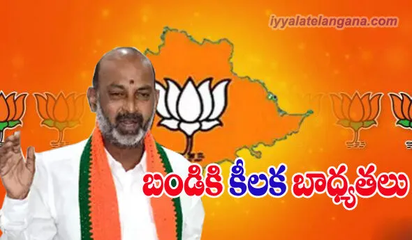 Bandi BJP copy