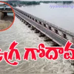 gdvri copy